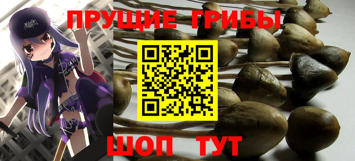 Галлюциногенные грибы Psilocybe  где продают наркотики  Улан-Удэ  Вход с VPN 
