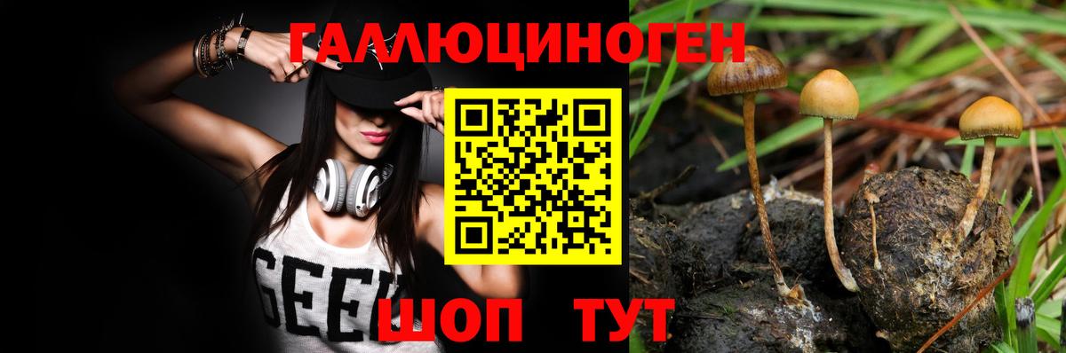 Галлюциногенные грибы Psilocybe Улан-Удэ